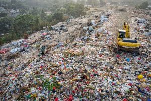 The Lifecycle of a Car: Environmental Impact from Factory to Junkyard