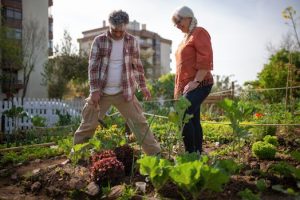 Hydroponic Hacks: Soil-Free Gardening for Urban Dwellers