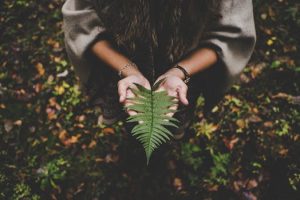 Eco-Friendly Investments Seeing Unprecedented Growth Rates